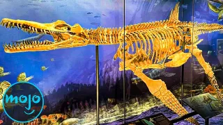 Top 10 Greatest Paleontology Discoveries Of All Time 