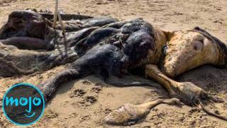 Top 10 Times Mysterious Things Washed Up On Beaches