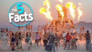 Top 5 Insane Burning Man Facts