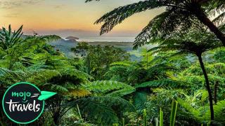 Top 10 Beautiful Rainforests