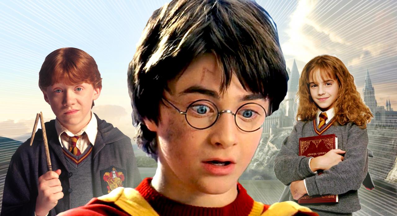Top 10 Déguisement Harry Potter, Article