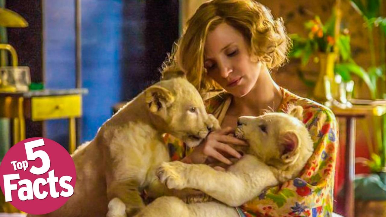 Who got shot in the zookeepers wife - onlinenimfa