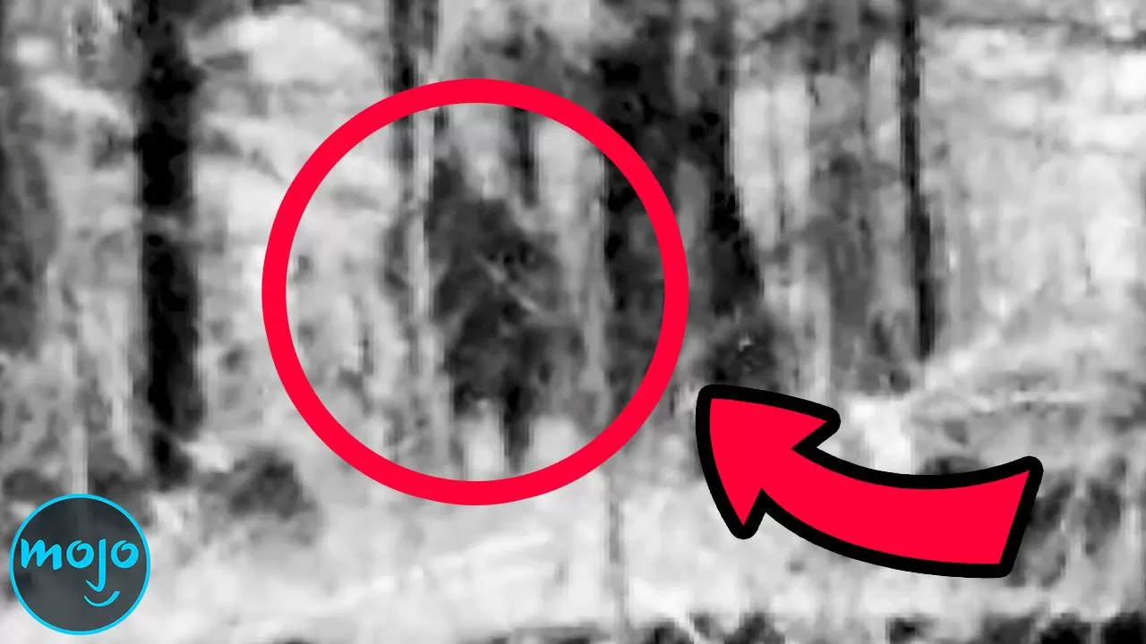 Top 10 Unbelievable Bigfoot Sightings Caught on Camera | Articles on  WatchMojo.com