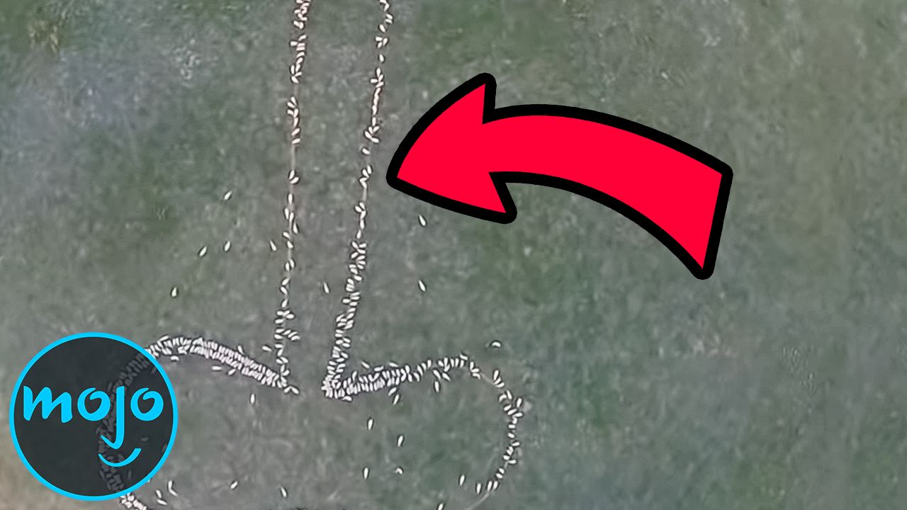 Top 10 Funniest Things Caught By Drones Articles On WatchMojo 100-really-funny-jokes-to-tell-your-friends-to-make-them-laugh-legit-ng